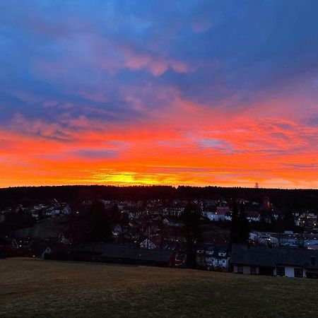Modernes Panorama-Domizil Lägenhet Schömberg Exteriör bild